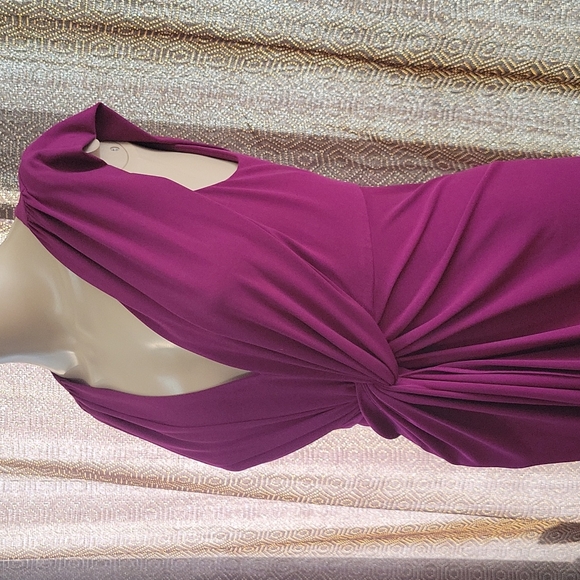 Catherine Malandrino Fuchsia Blush Knit Dress - Picture 5 of 7